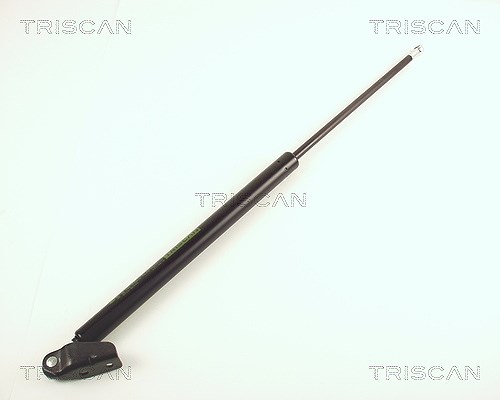 Triscan Gasfeder, Koffer-/Laderaum [Hersteller-Nr. 871050225] für Mazda