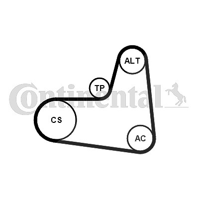 Continental Ctam Keilrippenriemensatz [Hersteller-Nr. 6PK995K1] für Seat, VW, Audi, Skoda
