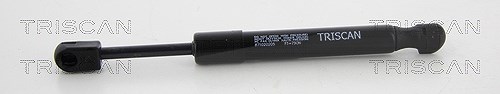 Triscan Gasfeder, Heckscheibe [Hersteller-Nr. 871020205] für Porsche