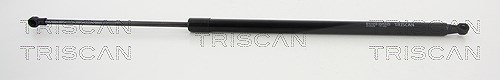 Triscan Gasfeder, Koffer-/Laderaum [Hersteller-Nr. 871020206] für Porsche