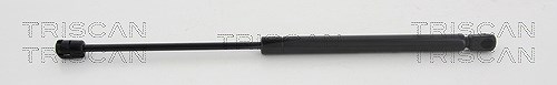 Triscan Gasfeder, Koffer-/Laderaum [Hersteller-Nr. 871023239] für Smart