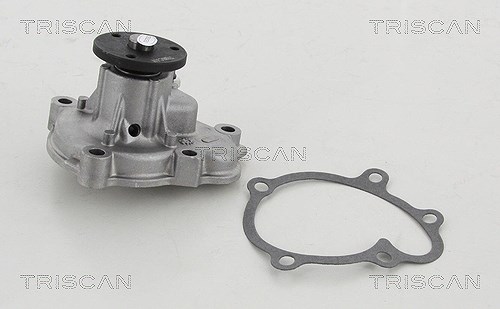 Triscan Wasserpumpe [Hersteller-Nr. 860040120] für Honda