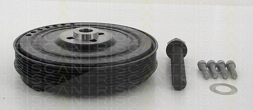 Triscan Riemenscheibe, Kurbelwelle [Hersteller-Nr. 864310007a] für Volvo, Audi, VW