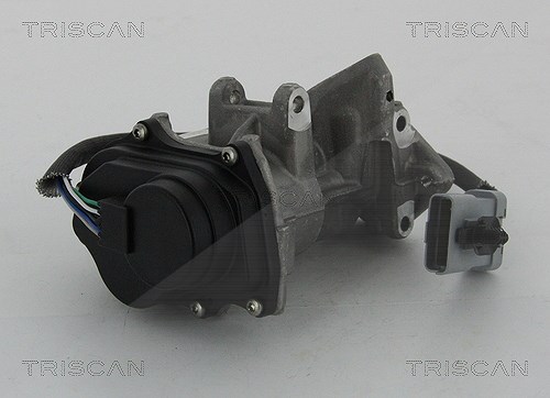 Triscan AGR-Ventil [Hersteller-Nr. 881317019] für Land Rover