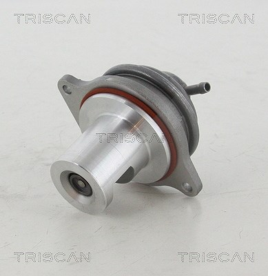 Triscan AGR-Ventil [Hersteller-Nr. 881323207] für Smart