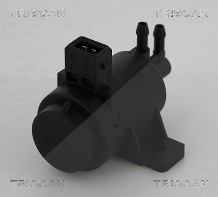 Triscan AGR-Ventil [Hersteller-Nr. 881325021] für Renault