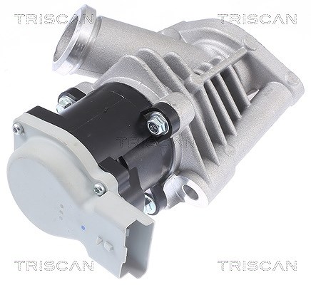 Triscan AGR-Ventil [Hersteller-Nr. 881328028] für Citroën, Peugeot
