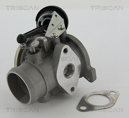 Triscan AGR-Ventil [Hersteller-Nr. 881329022] für Audi, VW, Seat