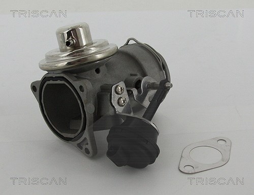 Triscan AGR-Ventil [Hersteller-Nr. 881329036] für VW, Seat, Skoda