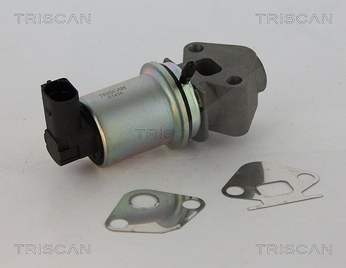 Triscan AGR-Ventil [Hersteller-Nr. 881329045] für VW, Seat