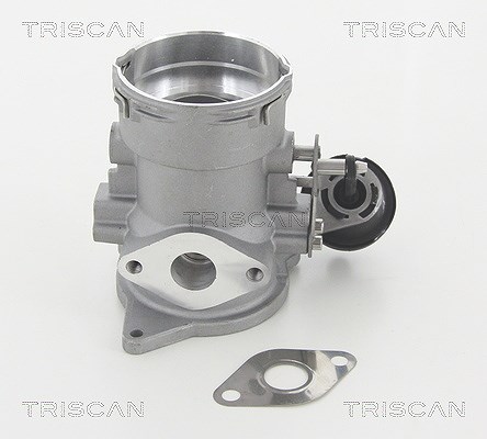 Triscan AGR-Ventil [Hersteller-Nr. 881329056] für VW