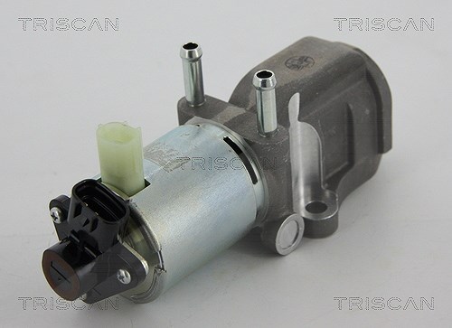 Triscan AGR-Ventil [Hersteller-Nr. 881313202] für Toyota