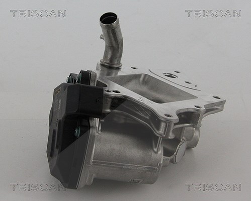 Triscan AGR-Ventil [Hersteller-Nr. 881315205] für Peugeot, Citroën, Fiat