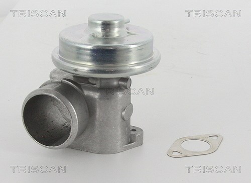 Triscan AGR-Ventil [Hersteller-Nr. 881316010] für Ford