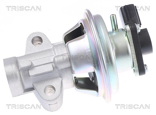 Triscan AGR-Ventil [Hersteller-Nr. 881316069] für Ford