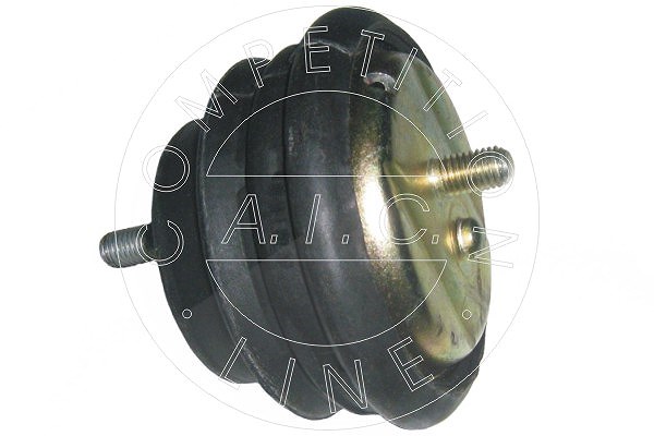 Aic Lagerung, Motor [Hersteller-Nr. 50237] für BMW