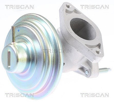 Triscan AGR-Ventil [Hersteller-Nr. 881316213] für Ford
