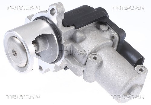 Triscan AGR-Ventil [Hersteller-Nr. 881329310] für VW