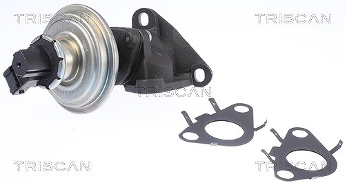 Triscan AGR-Ventil [Hersteller-Nr. 881311010] für Mini, Toyota
