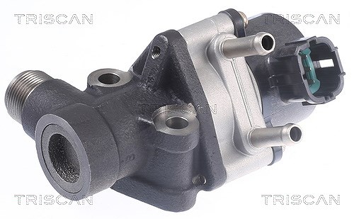 Triscan AGR-Ventil [Hersteller-Nr. 881314026] für Nissan