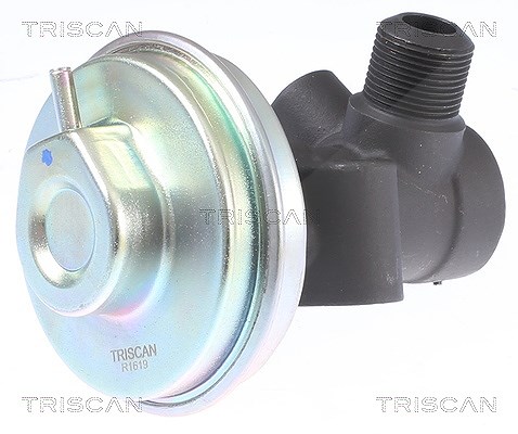 Triscan AGR-Ventil [Hersteller-Nr. 881314008] für Nissan