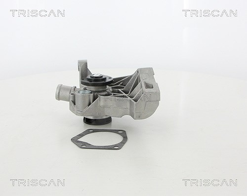 Triscan Wasserpumpe [Hersteller-Nr. 860029036HD] für Skoda