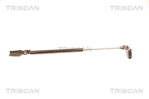 Triscan Gasfeder, Koffer-/Laderaum [Hersteller-Nr. 871014232] für Nissan