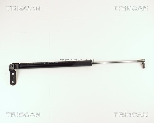 Triscan Gasfeder, Koffer-/Laderaum [Hersteller-Nr. 871014226] für Nissan