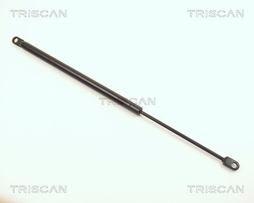 Triscan Gasfeder, Motorhaube [Hersteller-Nr. 87101102] für BMW