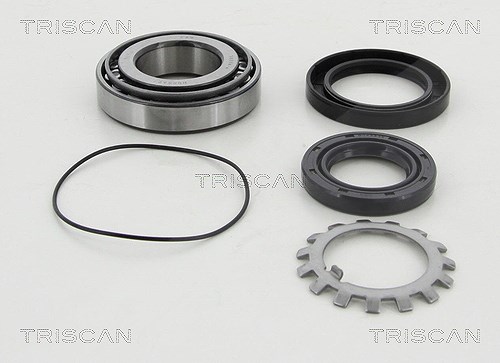 Triscan Radlagersatz [Hersteller-Nr. 853016250] für Ford, Mazda