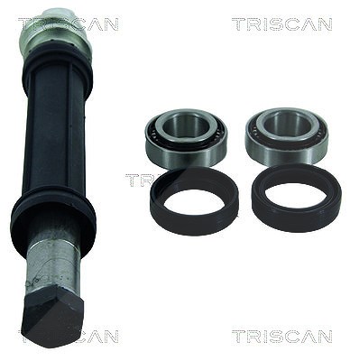 Triscan Reparatursatz, Querlenker [Hersteller-Nr. 850038400] für Citroën