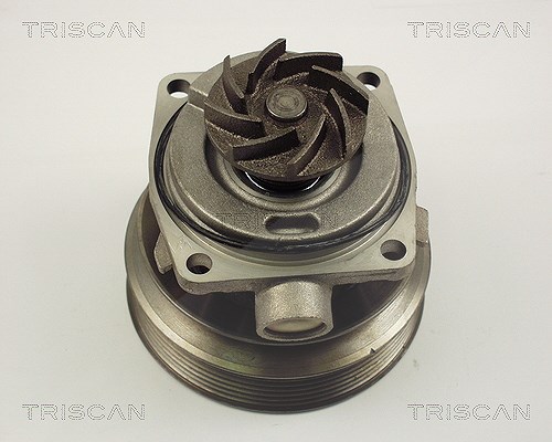 Triscan Wasserpumpe [Hersteller-Nr. 860010006] für Fiat, Citroën, Peugeot