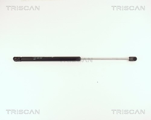 Triscan Gasfeder, Koffer-/Laderaum [Hersteller-Nr. 871015207] für Fiat