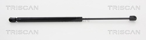 Triscan Gasfeder, Koffer-/Laderaum [Hersteller-Nr. 871017218] für Mini
