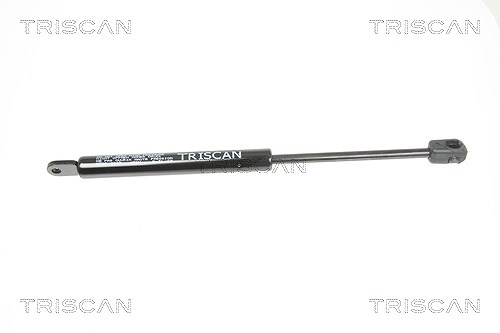 Triscan Gasfeder, Koffer-/Laderaum [Hersteller-Nr. 87102005] für Porsche