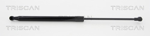 Triscan Gasfeder, Koffer-/Laderaum [Hersteller-Nr. 871011294] für BMW