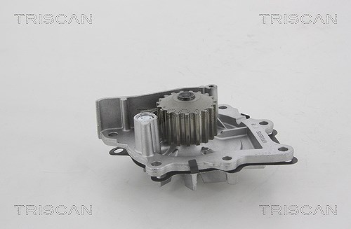 Triscan Wasserpumpe [Hersteller-Nr. 860028021] für Fiat, Opel, Lancia, Mitsubishi, Jaguar, Vauxhall, Ds, Toyota, Land Rover, Citroën, Ford Usa, Ford,