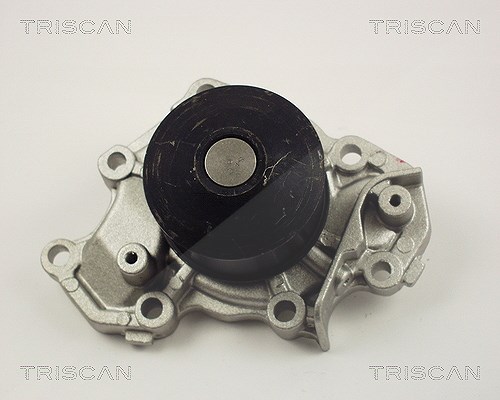 Triscan Wasserpumpe [Hersteller-Nr. 860042013] für Mitsubishi