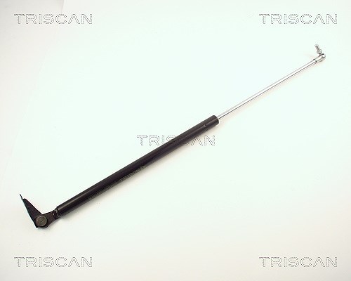 Triscan Gasfeder, Koffer-/Laderaum [Hersteller-Nr. 871013246] für Toyota