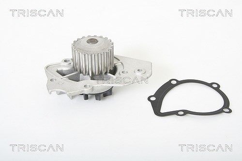 Triscan Wasserpumpe [Hersteller-Nr. 860010409] für Citroën, Peugeot