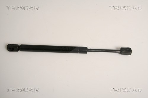 Triscan Gasfeder, Koffer-/Laderaum [Hersteller-Nr. 871011211] für BMW