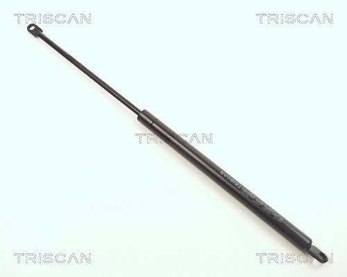 Triscan Gasfeder, Koffer-/Laderaum [Hersteller-Nr. 87101107] für BMW