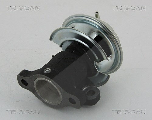 Triscan AGR-Ventil [Hersteller-Nr. 881343201] für Kia