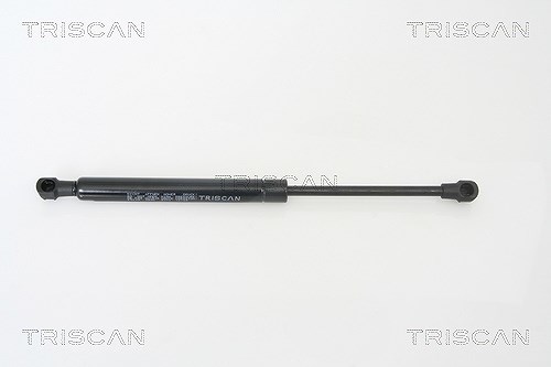 Triscan Gasfeder, Koffer-/Laderaum [Hersteller-Nr. 871065209] für Saab