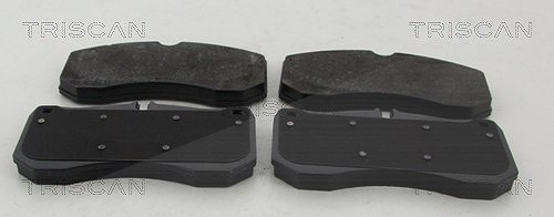 Triscan Bremsbelagsatz, Scheibenbremse [Hersteller-Nr. 811029179] für Audi