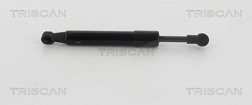 Triscan Gasfeder, Koffer-/Laderaum [Hersteller-Nr. 871020204] für Porsche