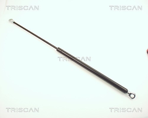 Triscan Gasfeder, Koffer-/Laderaum [Hersteller-Nr. 87101601] für Ford