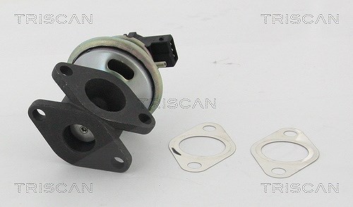Triscan AGR-Ventil [Hersteller-Nr. 881317100] für Land Rover
