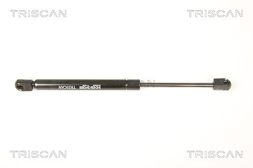 Triscan Gasfeder, Koffer-/Laderaum [Hersteller-Nr. 871029291] für Audi