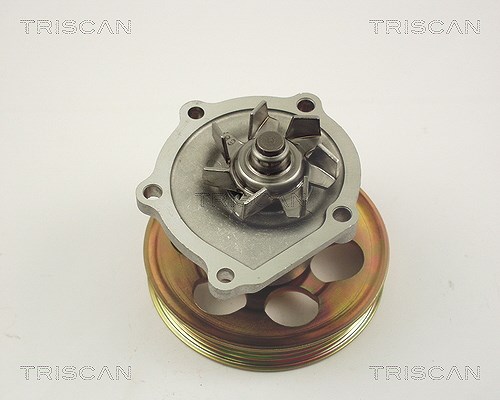 Triscan Wasserpumpe [Hersteller-Nr. 860013010] für Toyota